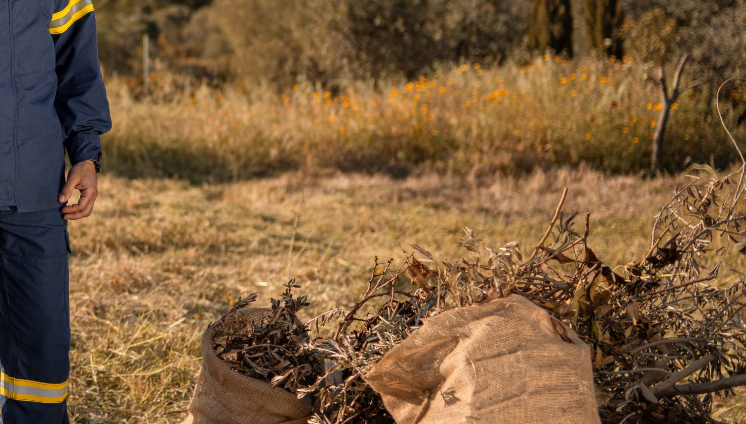 αντιπυρική περίοδος